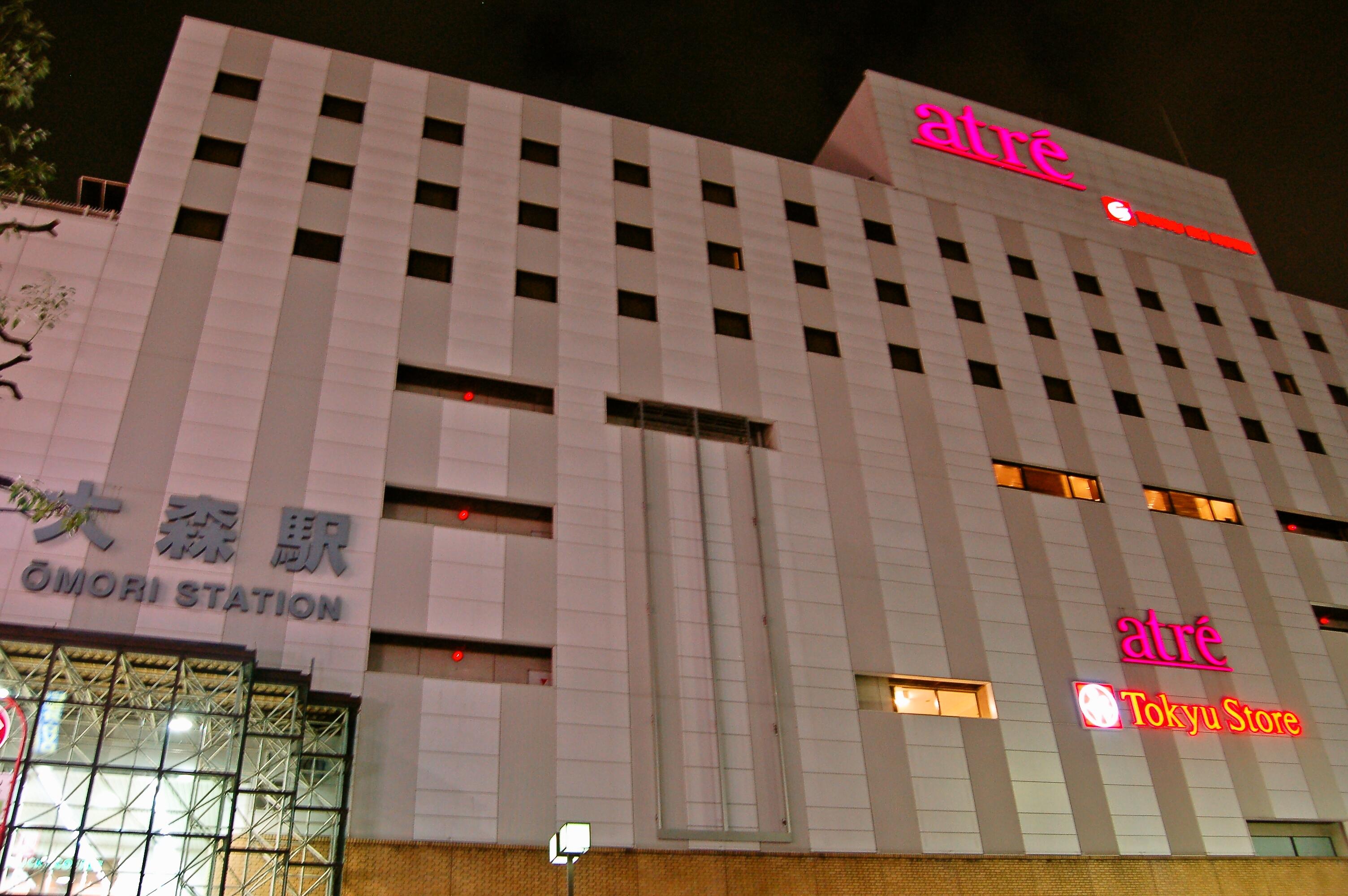 Omori Tokyu Rei 3* Tokio